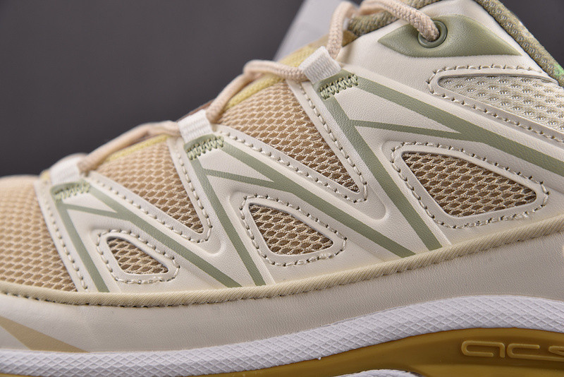 salomon xt-6 expanse cottage core