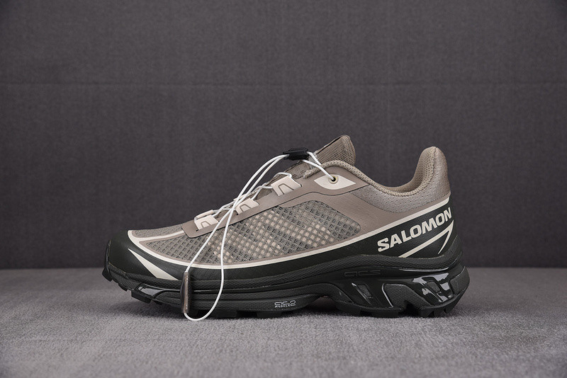 salomon xt-6 ft